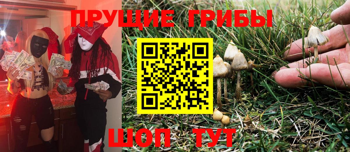 Псилоцибиновые грибы мухоморы Чехов